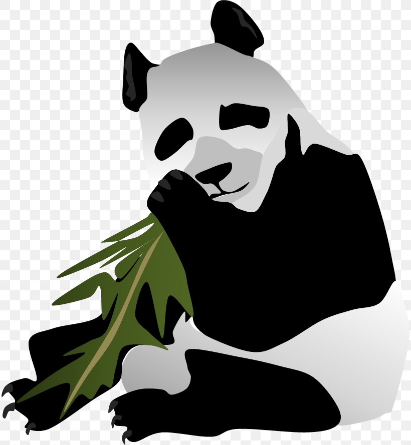 Bear Giant Panda Dog Mammal Carnivora, PNG, 814x889px, Bear, Animal, Black, Black M, Canidae Download Free