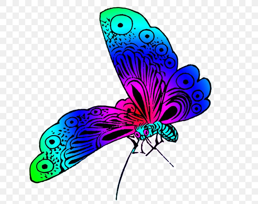 Butterfly Desktop Wallpaper Color Clip Art, PNG, 640x650px, Butterfly, Butterflies And Moths, Color, Drawing, Feather Download Free