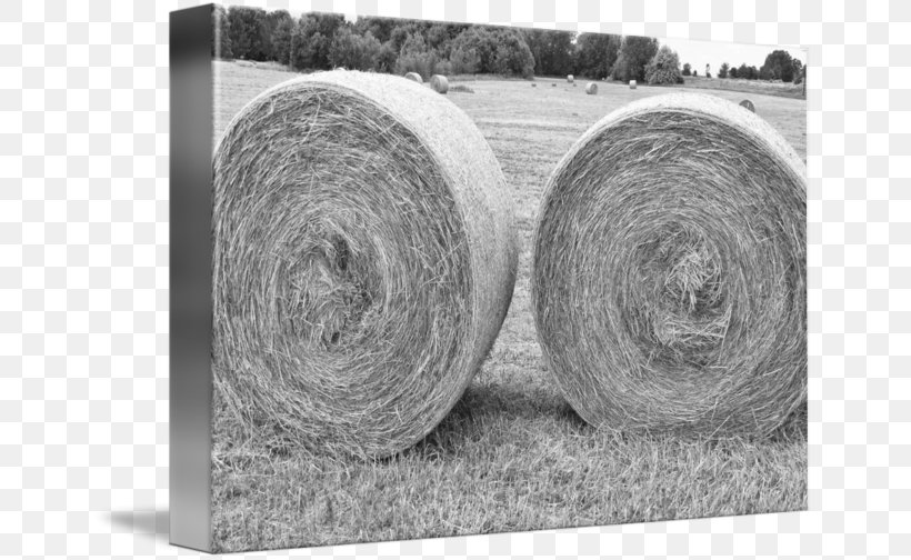Car Wool Tire, PNG, 650x504px, Car, Automotive Tire, Black And White, Grass, Monochrome Download Free