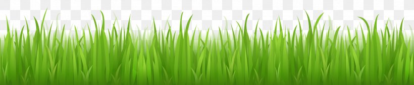 Drawing Clip Art, PNG, 3333x688px, Drawing, Animation, Grass, Grass Family, Green Download Free