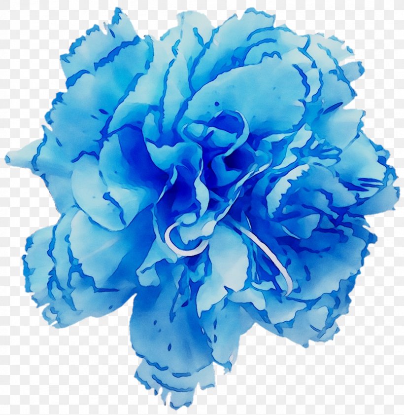Garden Roses Blue Rose Cabbage Rose Cut Flowers, PNG, 1084x1113px, Garden Roses, Aqua, Artificial Flower, Blue, Blue Rose Download Free