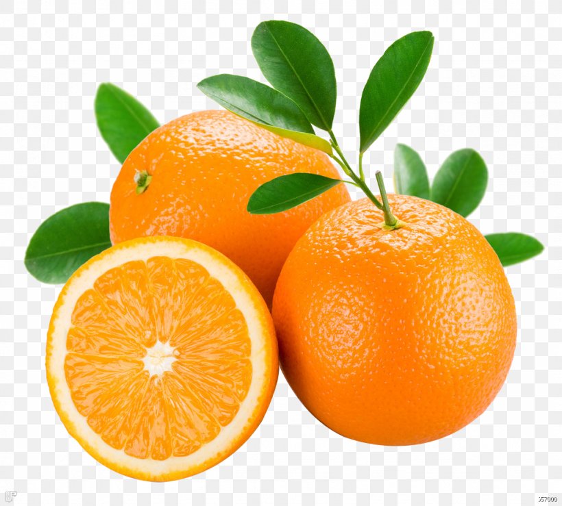 Organic Food Lotion Tangerine Orange Fruit, PNG, 1024x923px, Organic Food, Antiaging Cream, Bitter Orange, Chenpi, Citric Acid Download Free