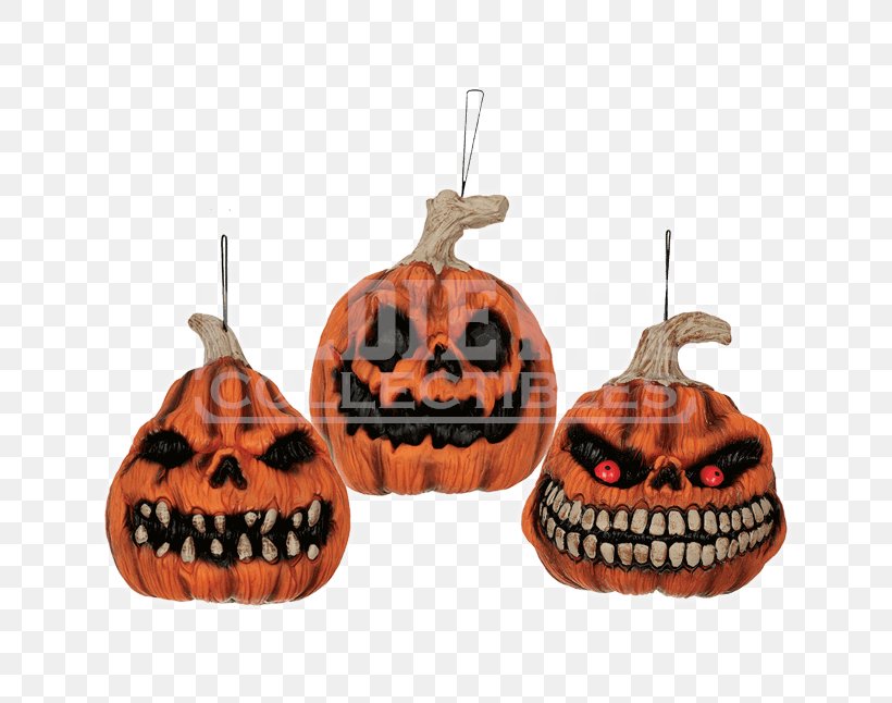 Pumpkin Jack-o'-lantern Gourd Halloween Vine, PNG, 646x646px, Pumpkin, Bottle, Costume, Face, Gourd Download Free