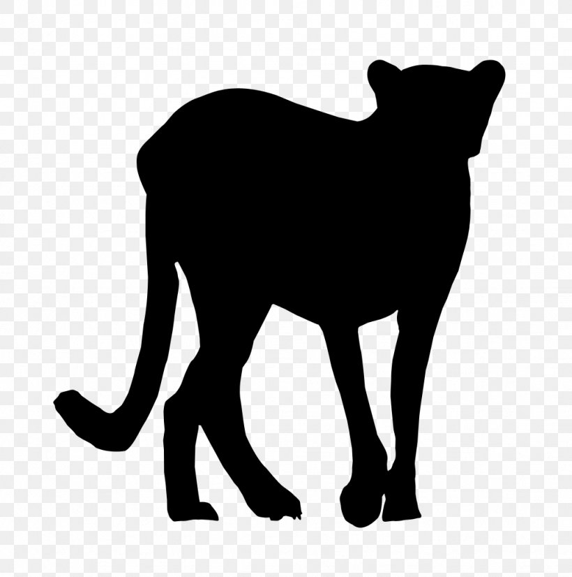 Whiskers Dog Cat Mammal Snout, PNG, 1026x1034px, Whiskers, Animal Figure, Big Cat, Big Cats, Black M Download Free