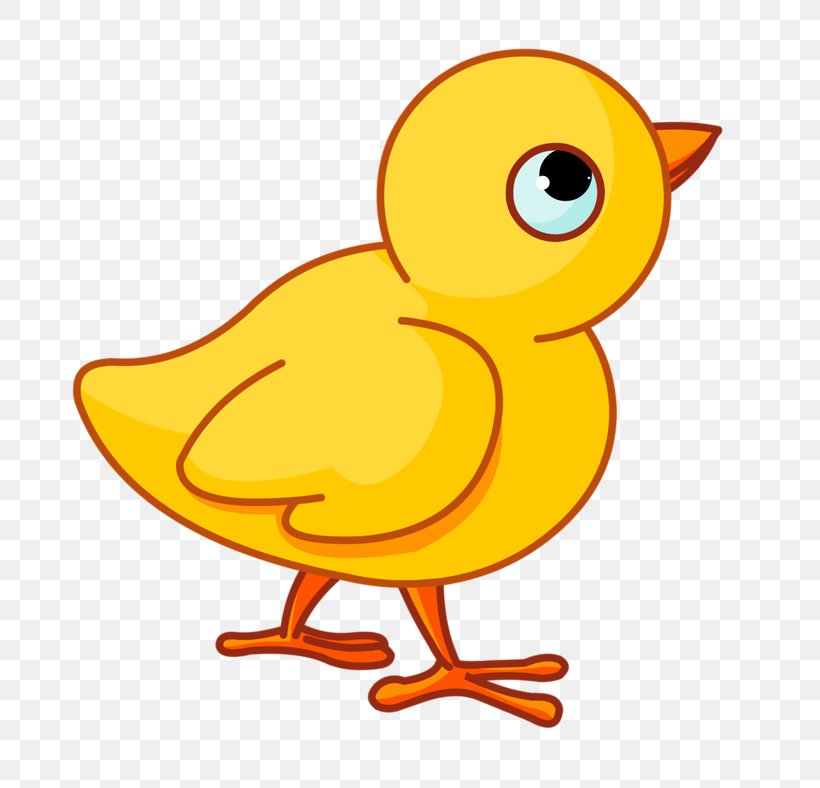 Chicken Infant Mother Clip Art, PNG, 800x788px, Chicken, Animal, Artwork, Beak, Bird Download Free
