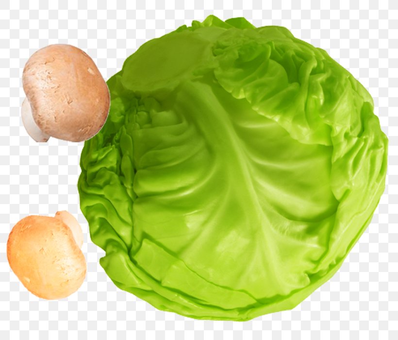 Lettuce, PNG, 800x700px, Lettuce, Cabbage, Cruciferous Vegetables, Food, Jpeg Network Graphics Download Free