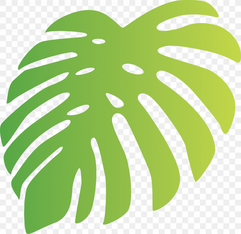 Monstera Tropical Leaf, PNG, 3000x2919px, Monstera, Biology, Fruit, Geometry, Green Download Free