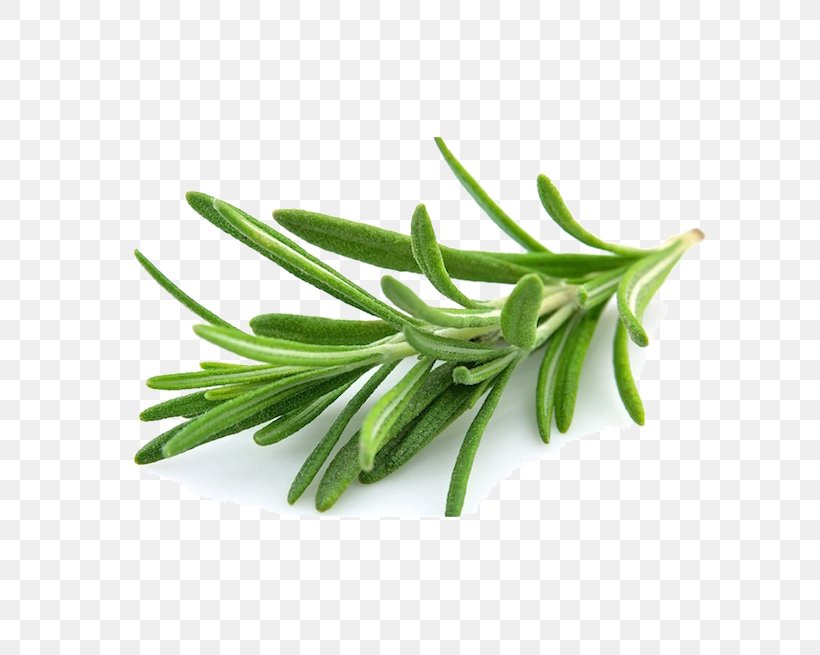 Rosemary Herb Mediterranean Cuisine Cooking Vegetable, PNG, 655x655px, Rosemary, Carnosic Acid, Chives, Common Sage, Cooking Download Free
