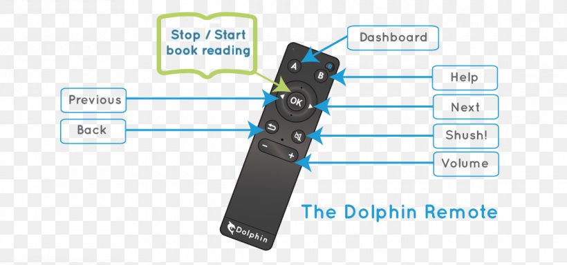 Dolphin Vision Impairment Low Vision Visual Perception Reading, PNG, 1140x535px, Dolphin, Book, Brand, Communication, Diagram Download Free