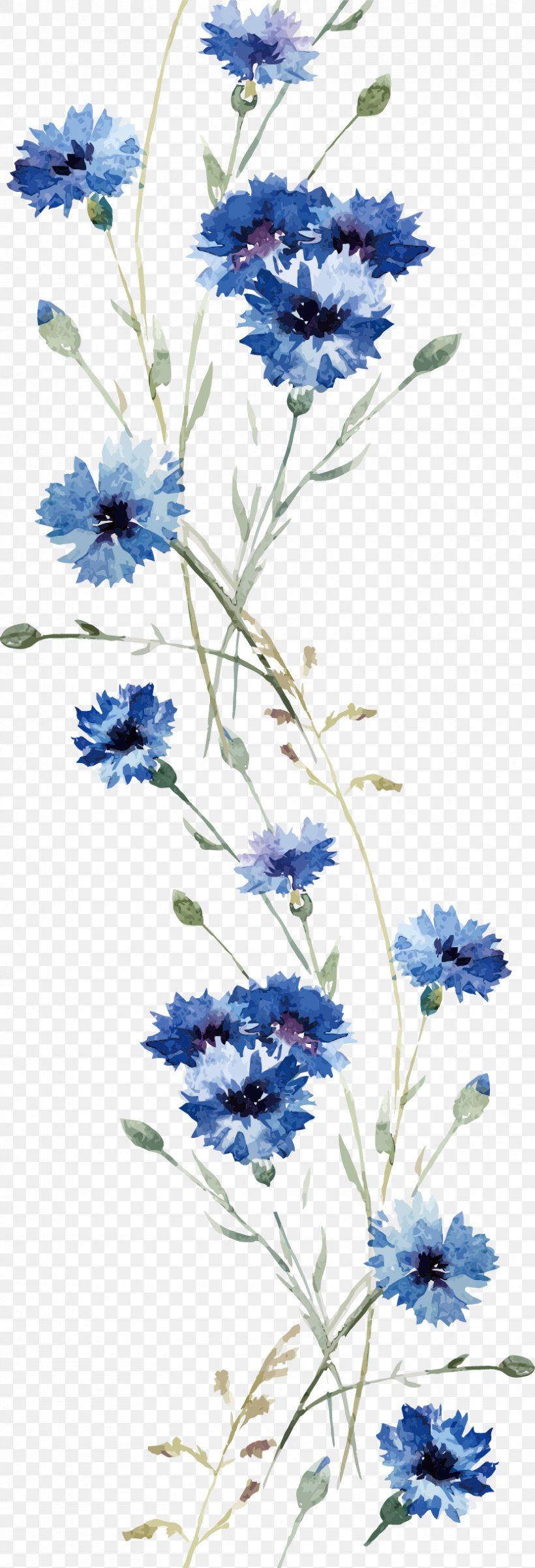 Flower Wall Decal Wallpaper, PNG, 831x2435px, Flower, Art, Bluebonnet, Branch, Cornflower Download Free