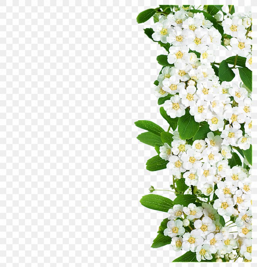 Flower White, PNG, 2404x2502px, Flower, Blossom, Branch, Cut Flowers, Designer Download Free