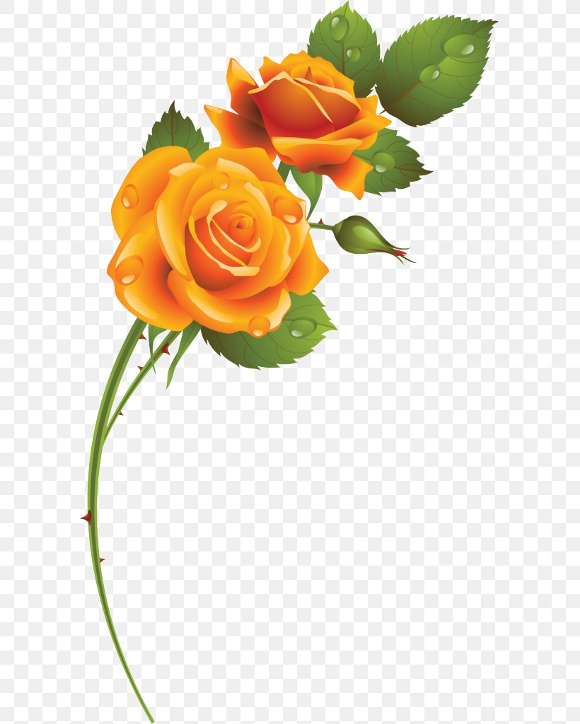 Garden Roses Floral Design Cut Flowers Blue Rose, PNG, 593x1024px, Garden Roses, Blue Rose, Cut Flowers, Floral Design, Floristry Download Free