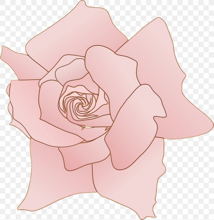 Garden Roses, PNG, 1246x1280px, Watercolor, Flower, Garden Roses, Hybrid Tea Rose, Paint Download Free
