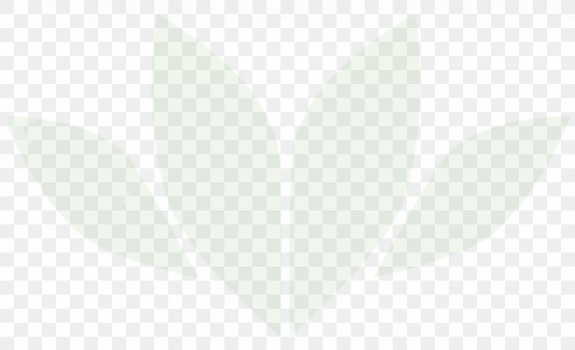 Leaf Angle Heart Font, PNG, 870x530px, Leaf, Heart, Petal, Wing Download Free