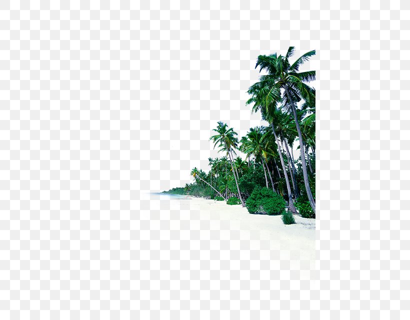 Sea Shore Beach Sky Fototapet, PNG, 443x640px, Sea, Beach, Cloud, Coast, Digital Image Download Free