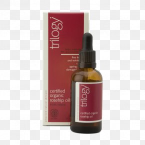 Skin Care Moisturizer Cosmetics Rose Hip Seed Oil PNG