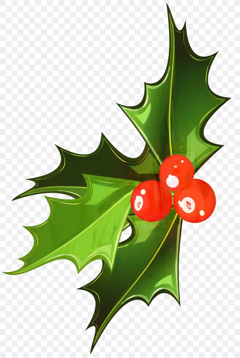 Christmas Tree Art, PNG, 2324x3456px, Mistletoe, American Holly, Christmas Day, Flower, Holly Download Free