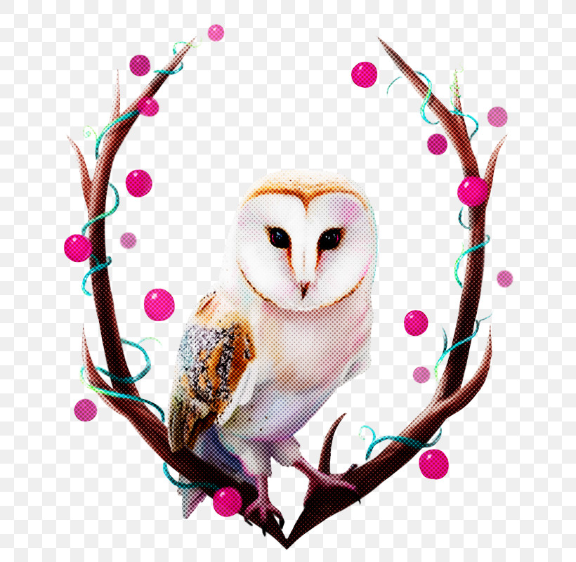 Owl Bird Branch Barn Owl Heart, PNG, 692x800px, Owl, Barn Owl, Bird, Bird Of Prey, Branch Download Free