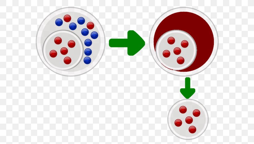 Population Bottleneck Mutation Photography Natural Selection, PNG, 600x466px, Population Bottleneck, Aws Lambda, Biology, Chromosome Abnormality, Evolution Download Free