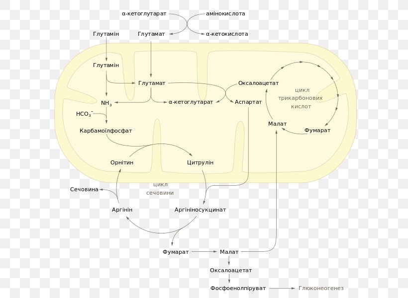 Wikimedia Commons File Size, PNG, 644x600px, Wikimedia Commons, Area, Copyright, Diagram, File Size Download Free