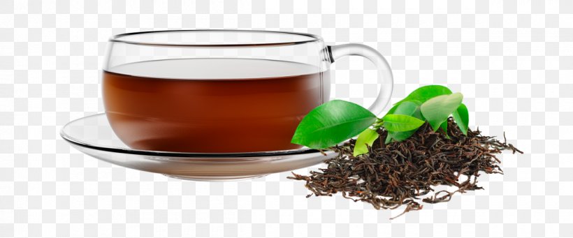 Assam Tea Mate Cocido Green Tea Oolong, PNG, 1200x500px, Assam Tea, Aroma, Black Tea, Caffeine, Chinese Herb Tea Download Free