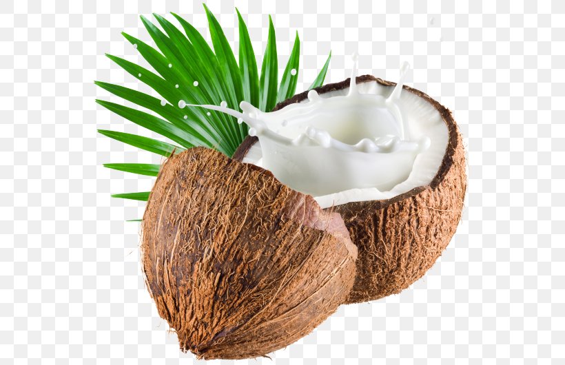 Coconut Water Coconut Milk Coconut Oil, PNG, 600x530px, Coconut Water, Coconut, Coconut Cake, Coconut Cream, Coconut Milk Download Free