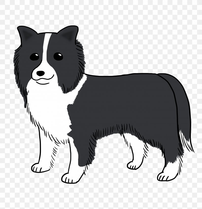 Dog Breed Border Collie Puppy Rough Collie Whiskers, PNG, 2756x2846px, Dog Breed, Black And White, Border Collie, Breed, Carnivoran Download Free