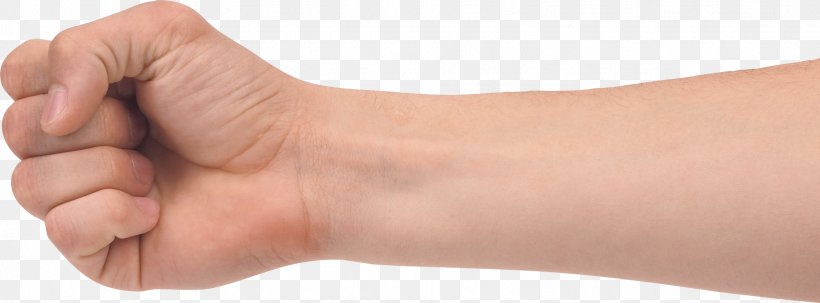 Hand Forearm Clip Art, PNG, 1854x686px, Hand, Anatomy, Arm, Finger, Fist Download Free