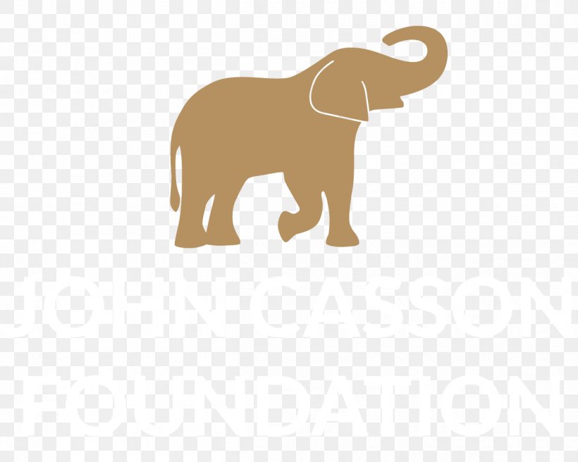 Indian Elephant African Elephant Elephantidae Philleigh Way Cookery School Animal, PNG, 1250x1000px, Indian Elephant, African Elephant, Animal, Canidae, Carnivoran Download Free