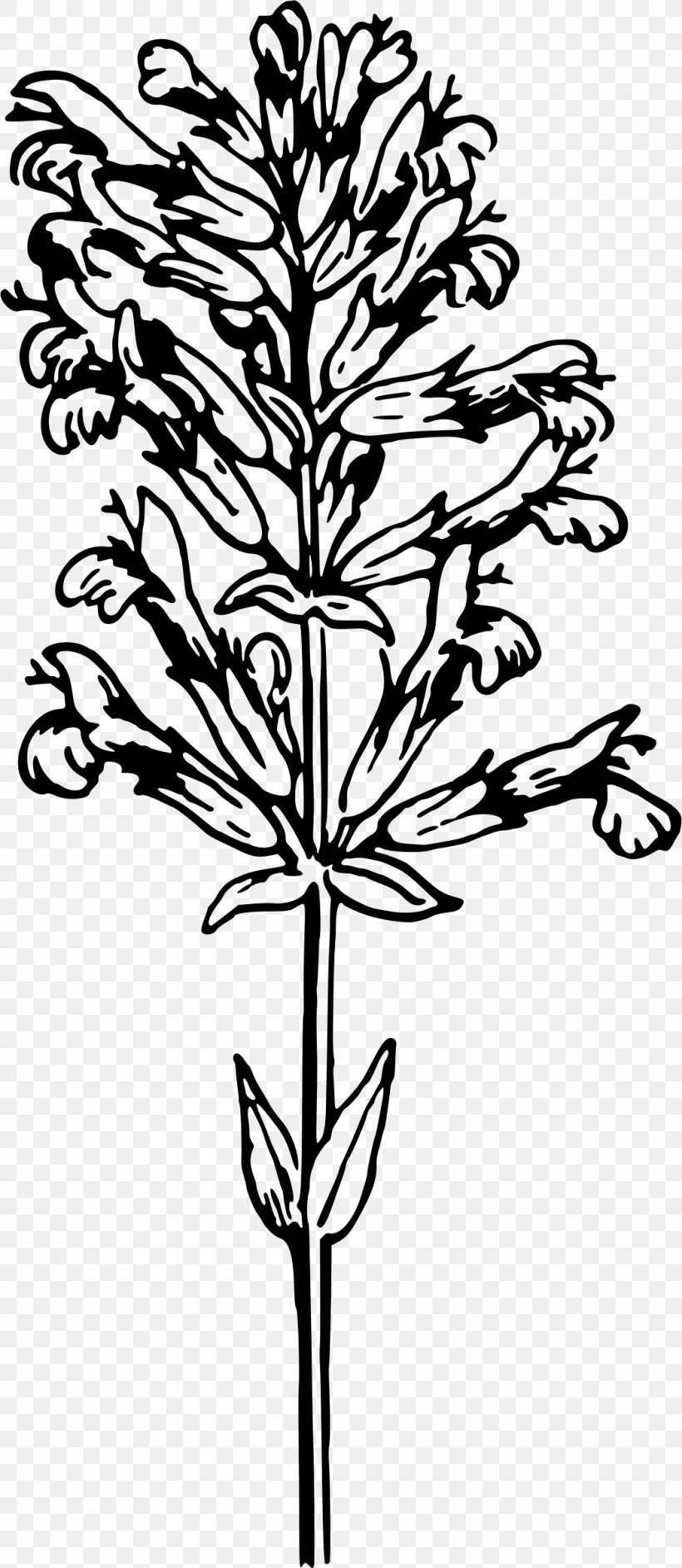 Public Domain Clip Art, PNG, 1044x2400px, Public Domain, Black And White, Branch, Drawing, Flora Download Free