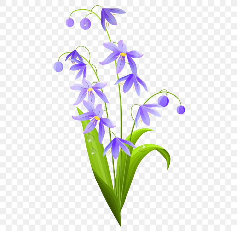 Vector Graphics Flower Clip Art Royalty-free Illustration, PNG, 491x800px, Flower, Bellflower Family, Cut Flowers, Drawing, Easter Lily Download Free