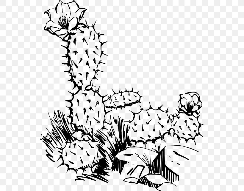 Barbary Fig Cactaceae Saguaro Clip Art, PNG, 549x640px, Barbary Fig, Area, Art, Black, Black And White Download Free