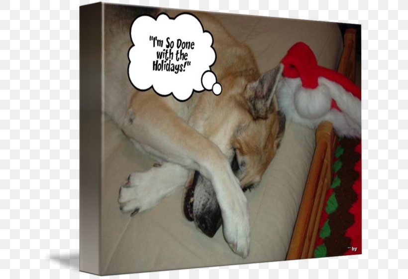 German Shepherd Christmas Dog Breed Snout, PNG, 650x560px, German Shepherd, Breed, Christmas, Dog, Dog Breed Download Free