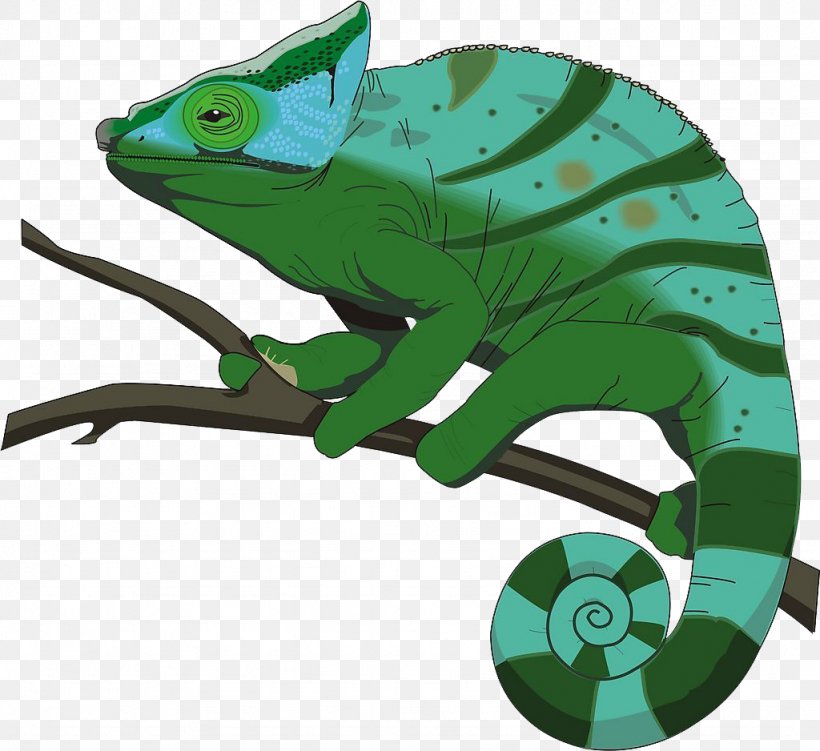 Chameleons Stock.xchng Clip Art, PNG, 1024x938px, Chameleons, Amphibian, Chameleon, Fauna, Fictional Character Download Free