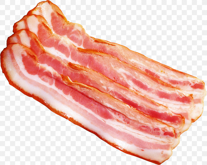 Food Animal Fat Meat Back Bacon Dish, PNG, 1140x911px, Food, Animal Fat, Back Bacon, Bacon, Cuisine Download Free