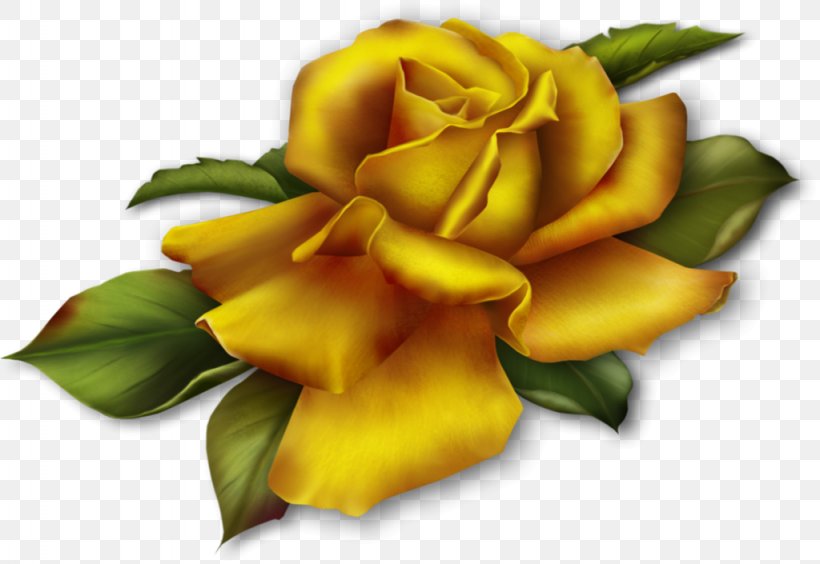 Garden Roses Clip Art, PNG, 1024x705px, Garden Roses, Alphabet, Cut Flowers, Floristry, Flower Download Free