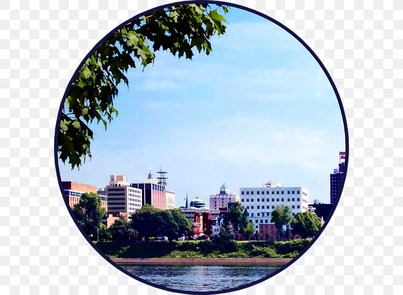 Tree Tourism Sky Plc, PNG, 600x600px, Tree, City, Daytime, Panorama, Reflection Download Free