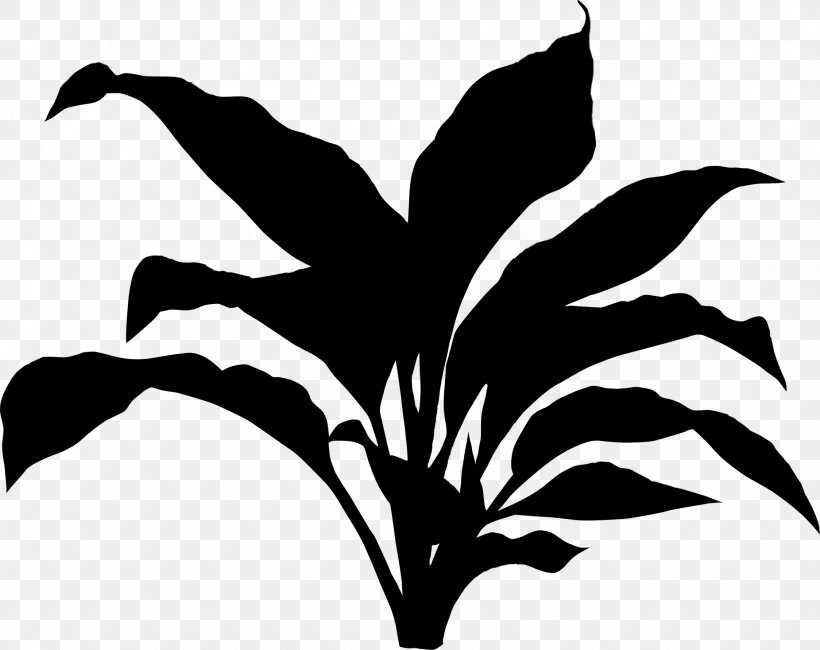 Flower Plant Stem Leaf Clip Art Silhouette, PNG, 2248x1783px, Flower, Black, Blackandwhite, Botany, Branching Download Free