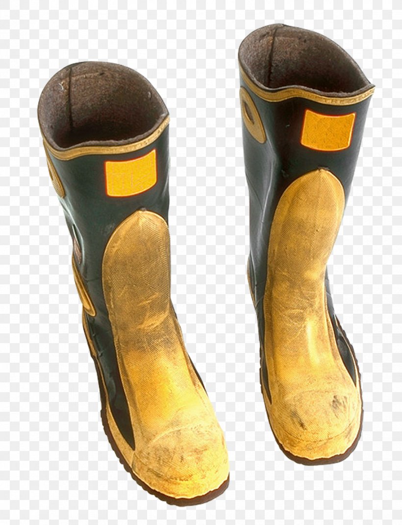 Galoshes Shoe Boot, PNG, 1131x1478px 
