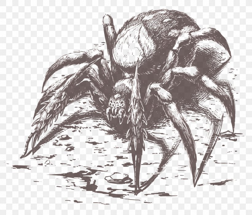 Pillars Of Eternity Spider Drawing YouTube Monochrome, PNG, 1323x1125px, Pillars Of Eternity, Arachnid, Arthropod, Black And White, Color Download Free