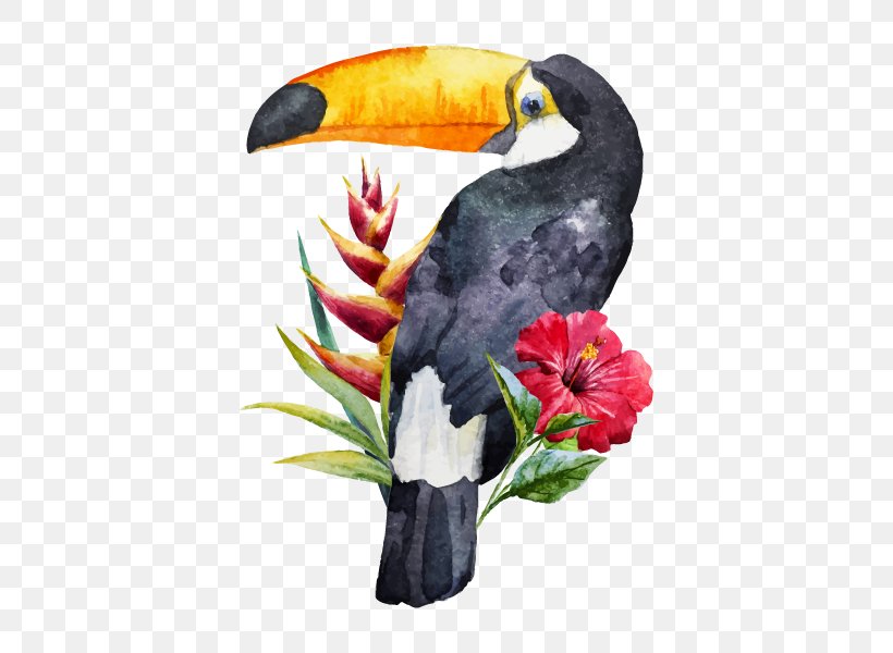 Bird Toucan Watercolor Painting, PNG, 600x600px, Bird, Art, Beak, Drawing, Fauna Download Free