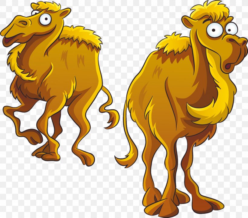 Camel Cartoon Stock Photography Royalty-free, PNG, 935x822px, Camel, Art, Beak, Bird, Camel Like Mammal Download Free