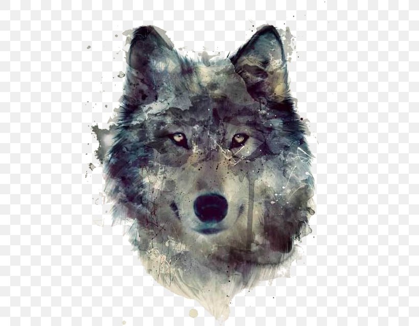 Gray Wolf Watercolor Painting Art Drawing, PNG, 485x638px, Gray Wolf, Art, Artist, Canis Lupus Tundrarum, Carnivoran Download Free