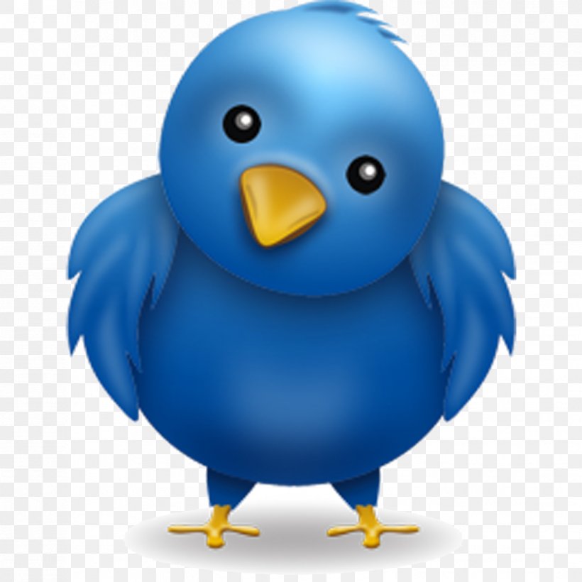 User Profile Social Media Information Social Networking Service, PNG, 1134x1134px, User Profile, Beak, Bird, Cobalt Blue, Communication Download Free