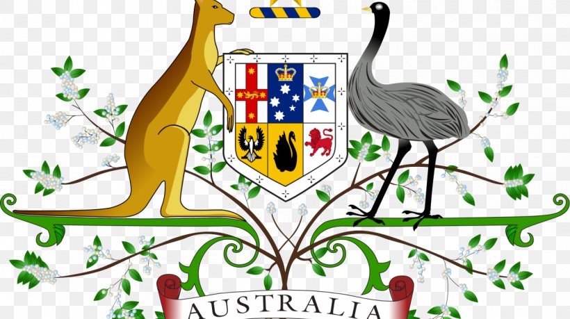 Coat Of Arms Of Australia National Symbols Of Australia Flag Of Australia, PNG, 1250x700px, Watercolor, Cartoon, Flower, Frame, Heart Download Free