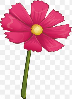 Plant - Cut Flowers Plant Stem Magenta Petal Herbaceous Plant PNG