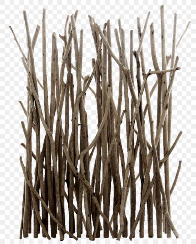 Driftwood Branch Folding Screen Tree, PNG, 963x1200px, Driftwood, Bark, Bathroom, Branch, Folding Screen Download Free