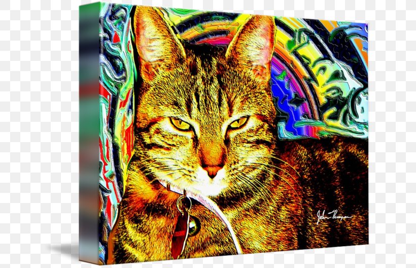 Tabby Cat Whiskers Gallery Wrap Modern Art, PNG, 650x528px, Tabby Cat, Art, Canvas, Carnivoran, Cat Download Free