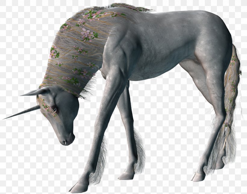 Unicorn Pegasus Clip Art, PNG, 876x690px, Unicorn, Blog, Cup, Grass, Horse Like Mammal Download Free