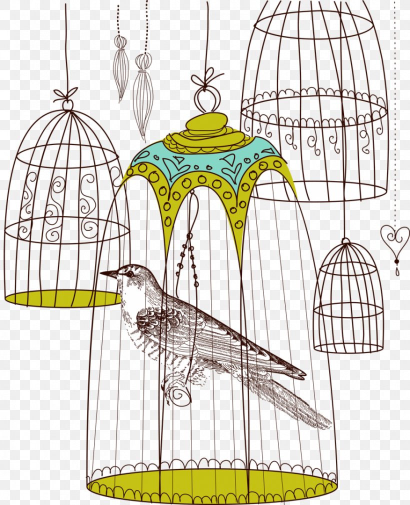Birdcage Photography, PNG, 876x1080px, Bird, Area, Birdcage, Cage, Photography Download Free